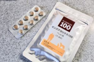 犬のガンも免疫力がキーワード！β-グルカンの含有量トップ「キングアガリクス100」