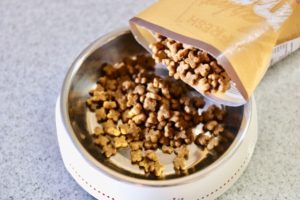 小さいお口の小型犬にぴったり！100％生肉使用のドッグフード「ナウフレッシュ」