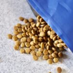 【販売終了】犬も腸活が大事!乳酸菌・オリゴ糖入りドッグフード「いぬはぐ」