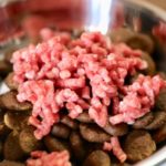 9月は暑さに疲れた体に栄養補給！嗜好性抜群馬肉ミンチのトッピングがオススメです。