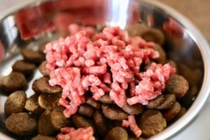 9月は暑さに疲れた体に栄養補給!嗜好性抜群馬肉ミンチのトッピングがオススメです。