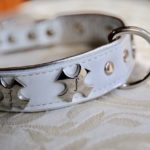 上質レザーの高級感がこの上なくおしゃれなドッグカラーが揃う「design f」