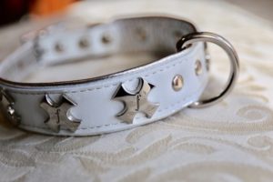 上質レザーの高級感がこの上なくおしゃれなドッグカラーが揃う「design f」