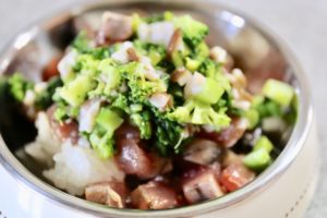 愛犬と一緒に味わう栄養満点「初カツオ」は肝臓の解毒作用に重要なタウリンが豊富