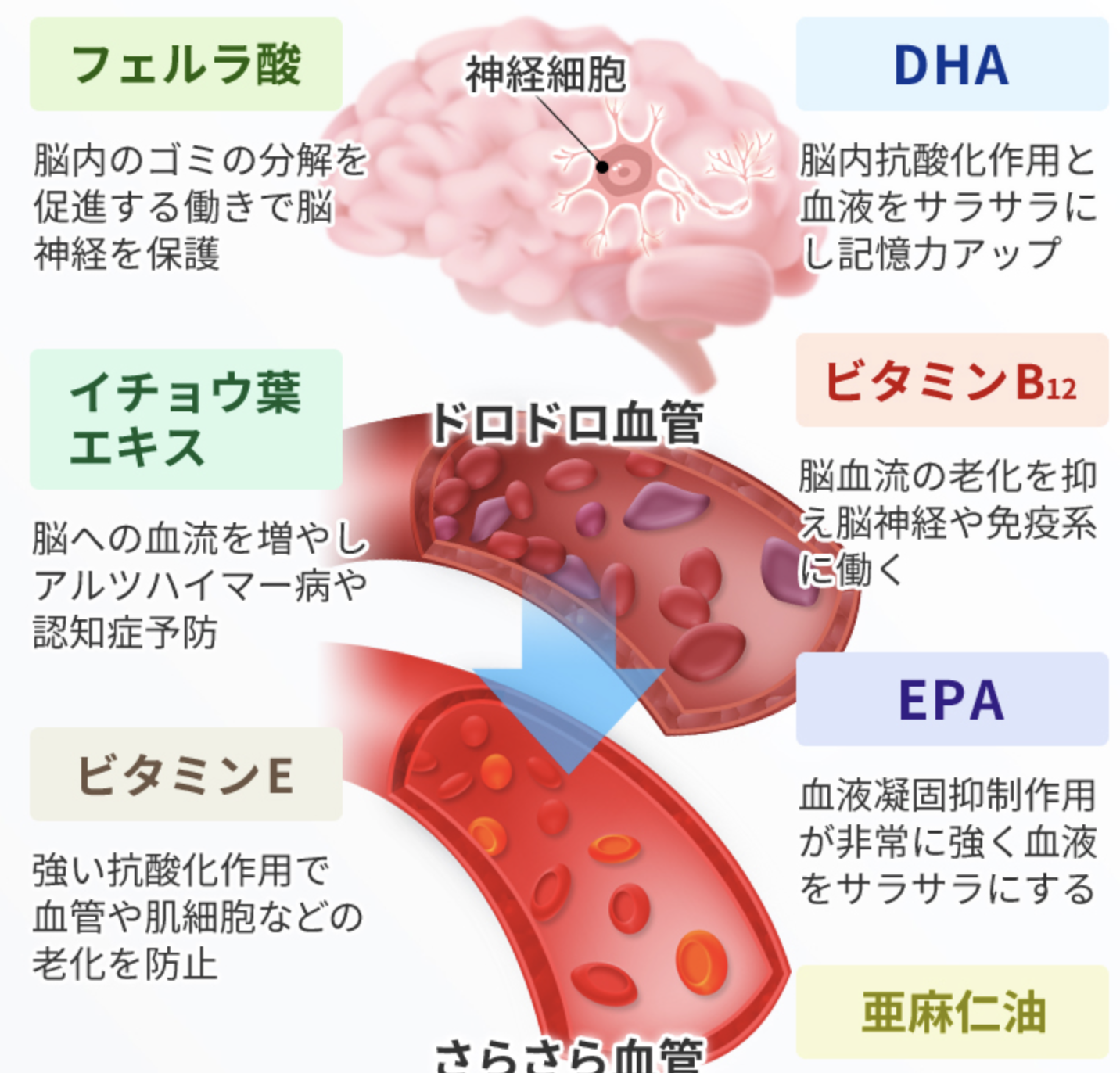 毎日一緒 EPAu0026DHA 100%正規品 - dcsh.xoc.uam.mx