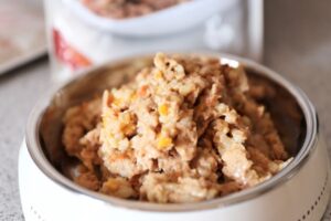 乳酸菌配合で愛犬も腸活！免疫力を高めるウェルフードッグフードは美味しいレトルト