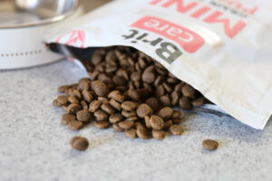 Brit（ブリット）ケアMINIグレインフリーパピーをお試し！こんな良いフードがあったなんて！