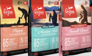 オリジンから小型犬に嬉しい待望のスモールブリード誕生！小粒で食べやすくローテーションにも