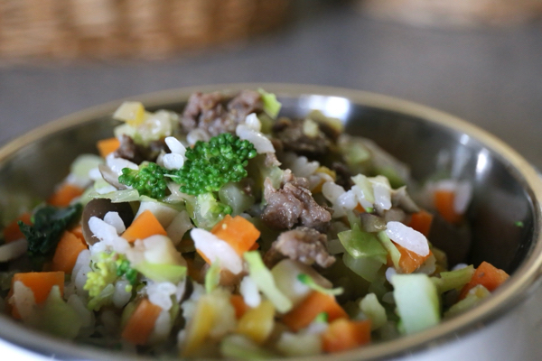 これさえあれば犬の手作り食はこんなに簡単！WelMoで作る愛犬のための幸せご飯レシピ